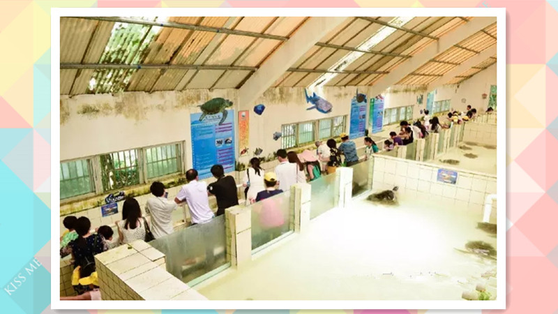 BBunion国际早教惠东中心活动花絮：海边亲子游