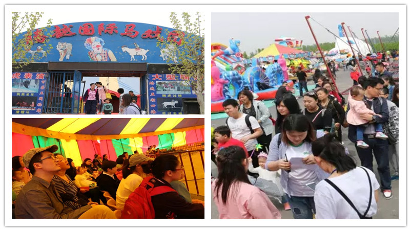 BBunion国际早教邯郸中心活动花絮：春季采摘